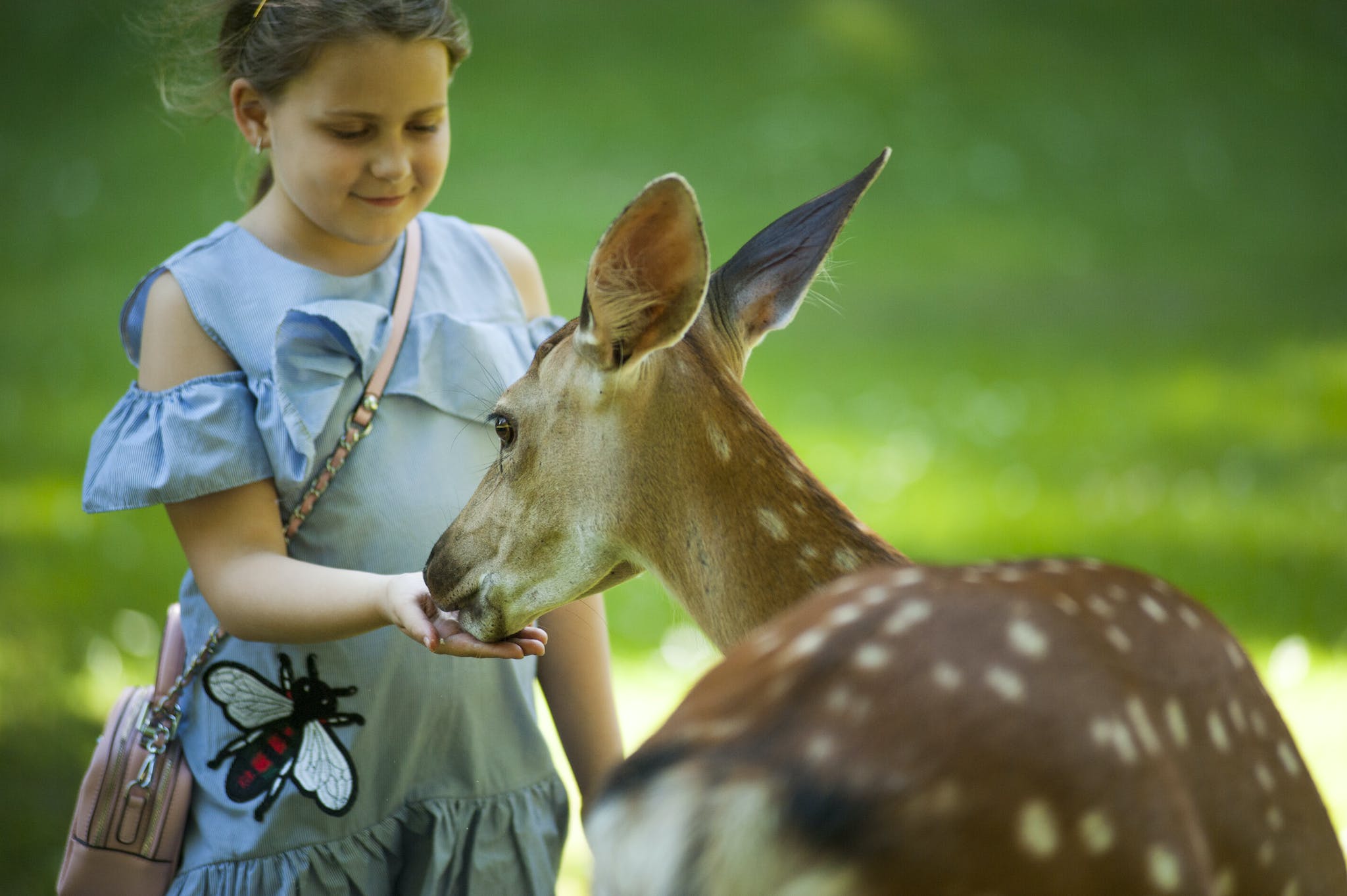 Kid Feeding Antelope